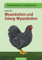 Armin Six - Deutsche Wyandotten und Deutsche Zwerg-Wyandotten