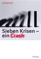 Winfried Wolf - Sieben Krisen - ein Crash