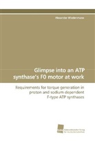 Alexander Wiedenmann - Glimpse into an ATP synthase's F0 motor at work