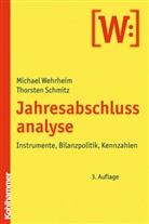 Thorsten Schmitz, Michael Wehrheim - Jahresabschlussanalyse