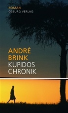 André Brink - Kupidos Chronik