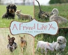 Tanja Askani - A Friend Like You