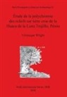 Veronique Wright, Véronique Wright - Étude de la polychromie des reliefs sur terre crue de la Huaca de la Luna Trujillo, Pérou