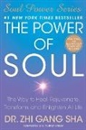 Zhi Gang Sha - The Power of Soul