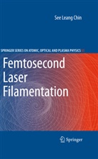 See Leang Chin - Femtosecond Laser Filamentation