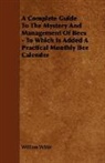William White, William Jr. White - A Complete Guide to the Mystery and Mana