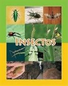 Amy White - Insectos