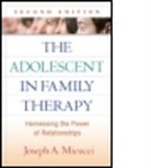 Celia Jaes Falicov, Celia Jaes (University of California San Diego Falicov, Howard A. Liddle, Andrew Malekoff, Andrew (North Shore Child and Family Guidance Center Malekoff, Joseph A. Micucci... - The Adolescent in Family Therapy, Second Edition