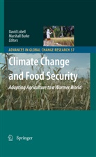 Davi B Lobell, David B Lobell, Burke, Burke, Marshall Burke, David Lobell... - Climate Change and Food Security