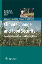 Davi B Lobell, David B Lobell, Burke, Burke, Marshall Burke, David Lobell... - Climate Change and Food Security