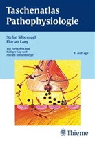 Florian Lang, Stefan Silbernagl, Rüdiger Gay, Astrid Rothenburger - Taschenatlas Pathophysiologie