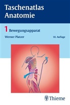 Werner Platzer - Taschenatlas der Anatomie - Bd.1: Bewegungsapparat
