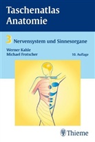 Michael Frotscher, Werner Kahle - Taschenatlas der Anatomie - Bd.3: Nervensystem und Sinnesorgane