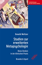 Donald Meltzer, Monika Noll - Studien zur erweiterten Metapsychologie