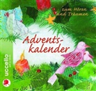 Martin Baltscheit, Erwin Grosche, Paul Maar, Margit Saarholz, Rosemarie Fendel, Angela Kehlenbeck... - Adventskalender zum Hören und Träumen, Audio-CD (Livre audio)