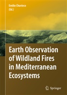 Emili Chuvieco, Emilio Chuvieco - Earth Observation of Wildland Fires in Mediterranean Ecosystems