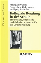 Bauhofe, Bauhofer, W Bauhofer, Wolfgang Bauhofer, Lödermann, Anne-Mari Lödermann... - Kollegiale Beratung in der Schule