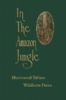 Algot Lange - In the Amazon Jungle. Ilustrated Editi