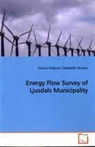 Thoma Fredlund, Thomas Fredlund, Salahaldin Shoshtari - Energy Flow Survey of Ljusdals Municipality