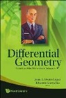 Eduardo Garcia-Rio Jesus A Alvarez Lopez, Jesus A Alvarez Lopez, Jesus A. Alvarez Lopez, Eduardo Garcia-Rio, Jesus A. Alvarez Lopez - DIFFERENTIAL GEOMETRY