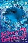 Summer Waters, Waters Summer - Silver Dolphins