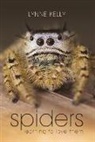 Lynne Kelly - Spiders