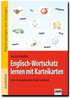 Astrid Pfeffer - Englisch-Wortschatz lernen mit Karteikarten