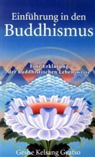 Geshe Kelsang Gyasto, Geshe Kelsang Gyatso - Einführung in den Buddhismus