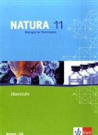Natura, Ausgabe Gymnasium G8 Bayern: Natura Biologie 11. Ausgabe Bayern