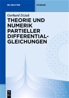 Gerhard Dziuk - Theorie und Numerik Partieller Differentialgleichungen