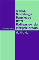 Andreas Niederberger - Demokratie unter Bedingungen der Weltgesellschaft?