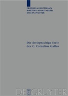 Friedhel Hoffmann, Friedhelm Hoffmann, Martin Minas-Nerpel, Martina Minas-Nerpel, Pfeiffer, Stefan Pfeiffer - Die dreisprachige Stele des C. Cornelius Gallus aus Philae