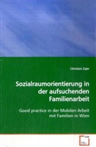 Christian Zajer - Sozialraumorientierung in der aufsuchenden  Familienarbeit