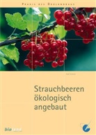 Andi Schmid - Strauchbeeren ökologisch angebaut