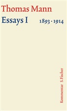 Thomas Mann, Heinrich Detering, Eckhard Heftrich, Hermann Kurzke - Werke - Briefe - Tagebücher. GKFA - Bd. 14.2: Essays 1893-1914, Kommentar. Tl.1
