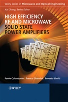 Paol Colantonio, Paolo Colantonio, Paolo Giannini Colantonio, Colantonio Paolo, Franc Giannini, Franco Giannini... - High Efficiency RF and Microwave Solid State Power Amplifiers