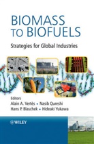 Hans Blaschek, Hans P. Blaschek, Nasib Qureshi, Vertes, Aa Vertes, Alain A. Vertes... - Biomass to Biofuels