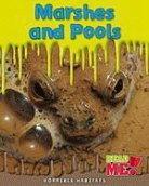 Sharon Katz Cooper, Sharon Katz Cooper - Marshes and Pools