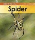 Ron Fridell, Ron/ Walsh Fridell, Patricia Walsh - Life Cycle of a - Spider