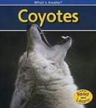 patricia Whitehouse - Coyotes