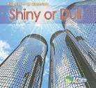 Charlotte Guillain - Shiny or Dull