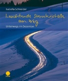 Isabella Schneider - Leuchtende Sternkristalle am Weg