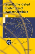 Thorsten Orendt, Jürge Richter-Gebert, Jürgen Richter-Gebert - Geometriekalküle