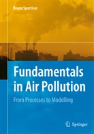 Bruno Sportisse - Fundamentals in Air Pollution