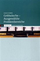 Ulrich Schmid - Geldwäsche, Ausgewählte Problembereiche