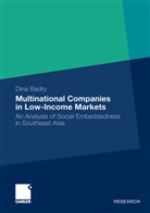 Dina Badry - Multinational Companies in Low-Income Markets