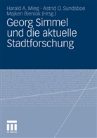 Bieniok, Majken Bieniok, Mie, Harald Mieg, Harald A. Mieg, Astri O Sundsboe... - Georg Simmel und die aktuelle Stadtforschung