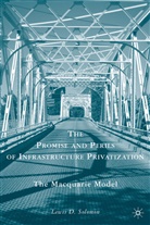 L Solomon, L. Solomon, Lewis D. Solomon - Promise and Perils of Infrastructure Privatization