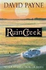 David Payne - Ruin Creek