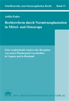 Attila Fodor, Attila Fordor - Rechtsreform durch Normtransplantation in Mittel- und Osteuropa